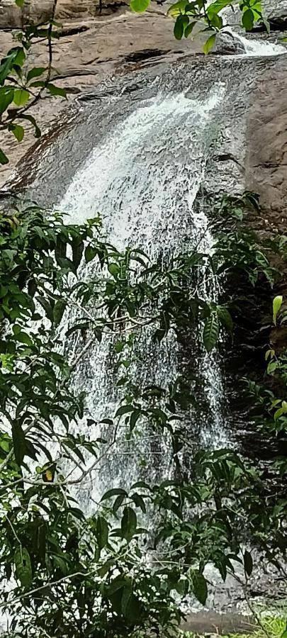 4 Acre Woods Farm Stay Munnar Extérieur photo