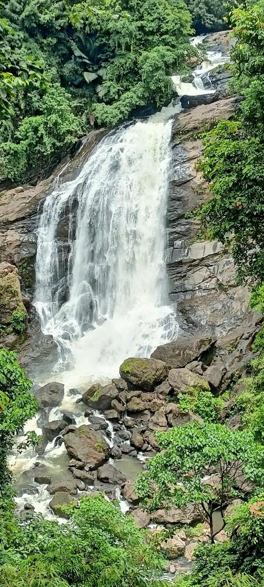 4 Acre Woods Farm Stay Munnar Chambre photo